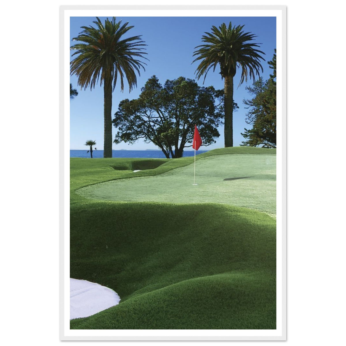 Palm Course